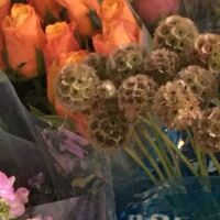 Angel’s Flowers