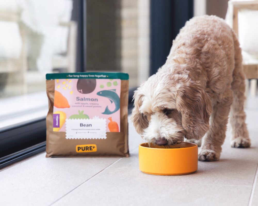 Pure Pet Food Event Traders CJ's Events Warwickshire