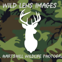Wild Lens Images