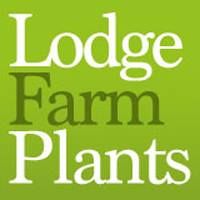 Lodge Farm Plants 