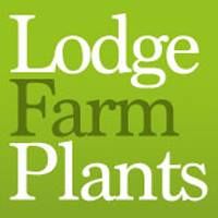 Lodge Farm Plants