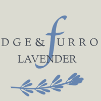 Ridge & Furrow Lavender