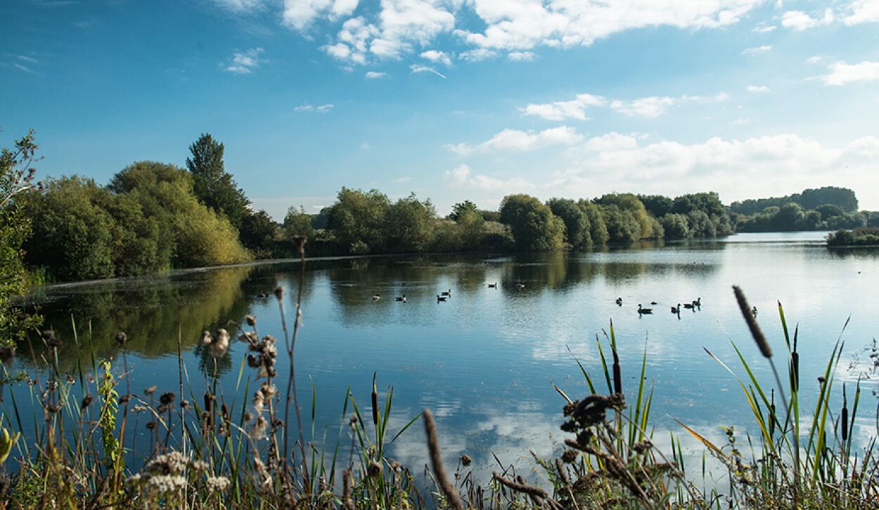 Celebrate the Coronation in the great outdoors at Warwickshire’s Country Parks