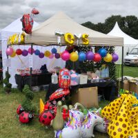 Kids world events limited