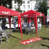 Pimm's Plus...
